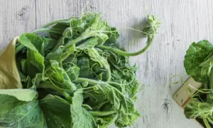 Fiori e foglie di zucchina lunga siciliana, pronti per essere cucinati.