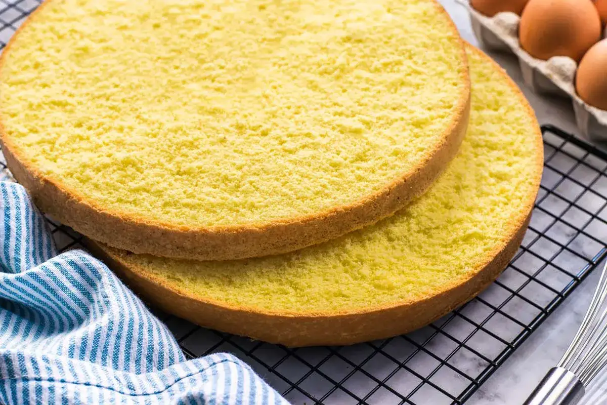 Due dischi di pan di spagna dorato, soffice e profumato, pronti per essere farciti.