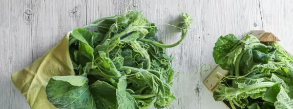 Fiori e foglie di zucchina lunga siciliana, pronti per essere cucinati.